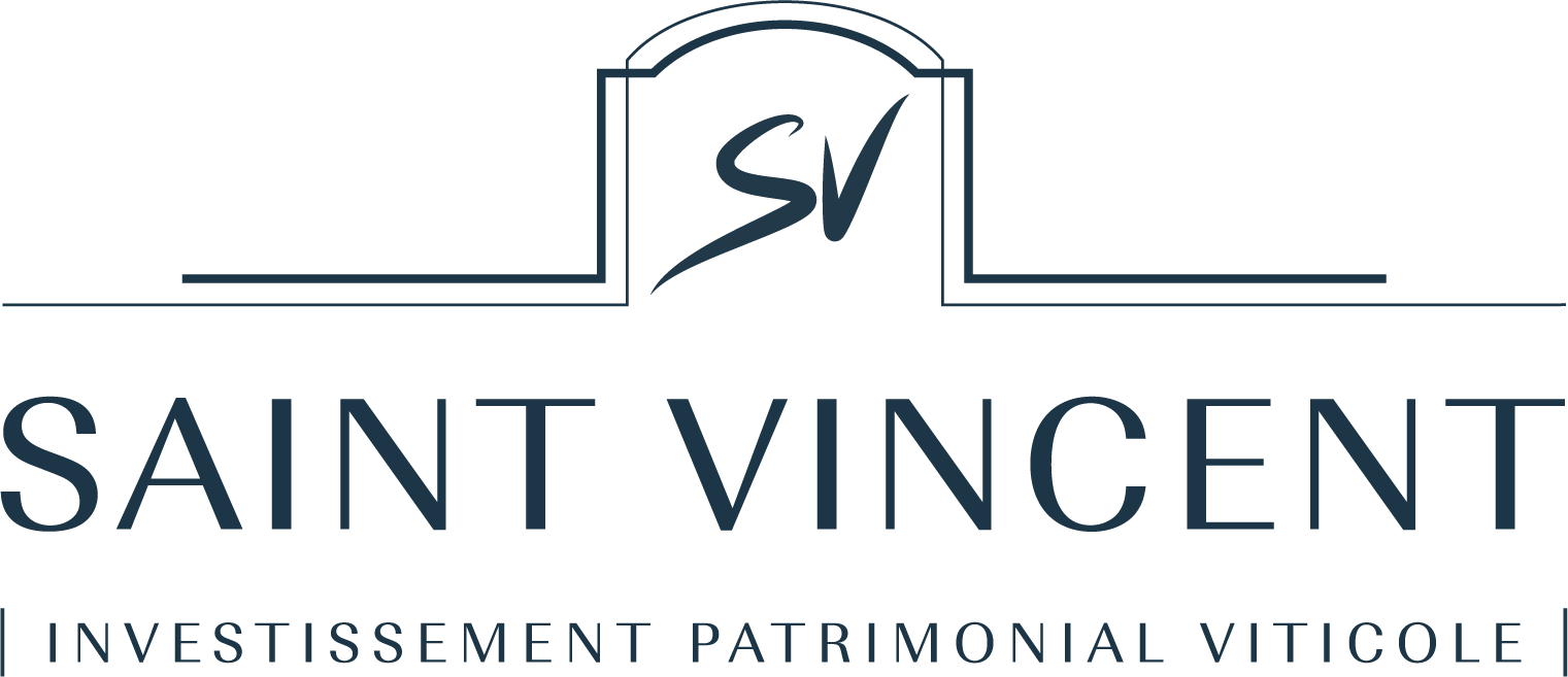 logo saint vincent
